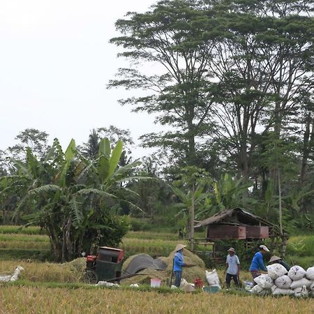 Pondok Gepokan Homestay Ubud Eksteriør bilde