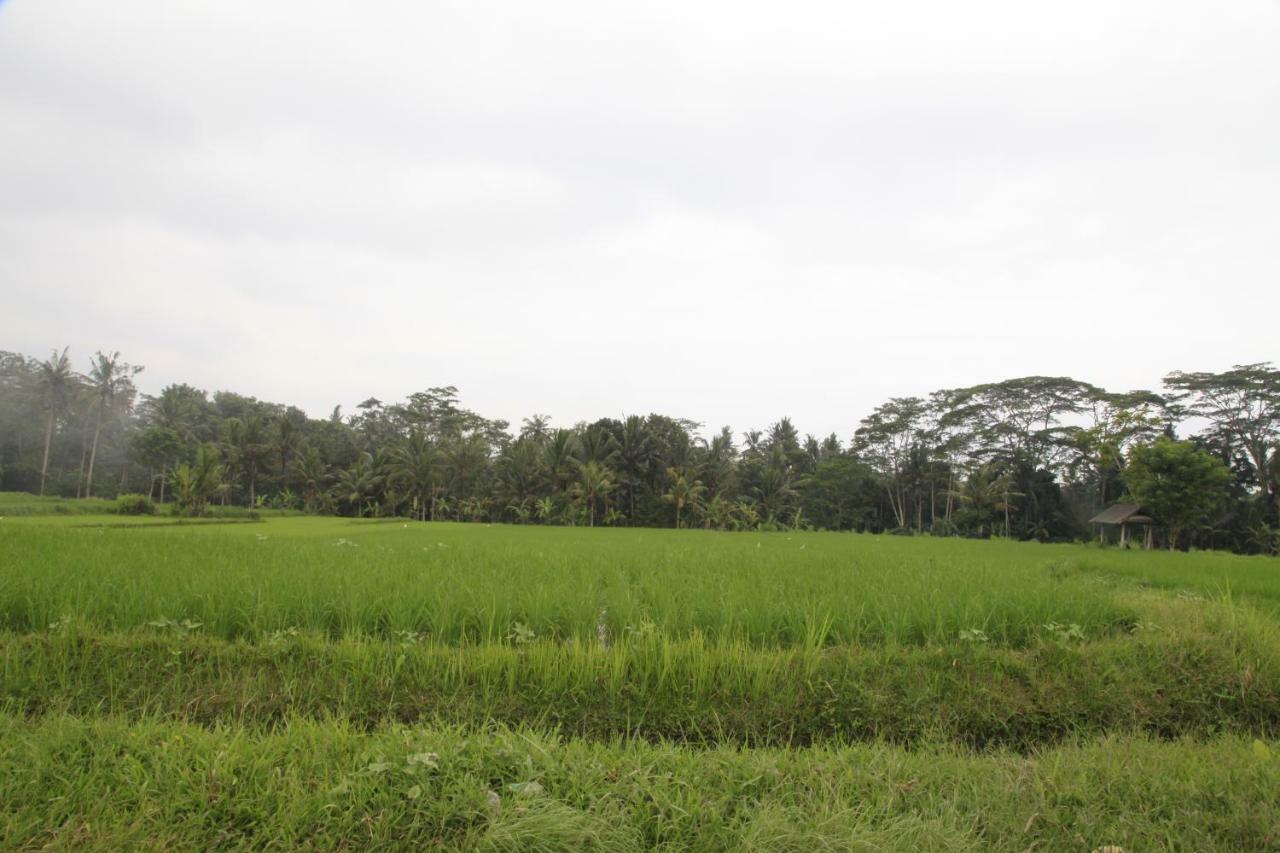 Pondok Gepokan Homestay Ubud Eksteriør bilde