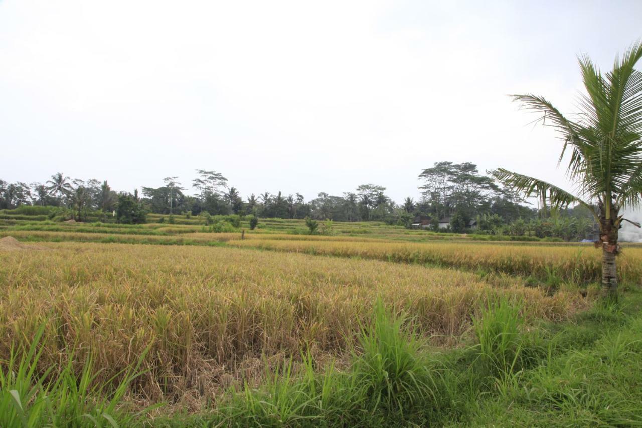 Pondok Gepokan Homestay Ubud Eksteriør bilde