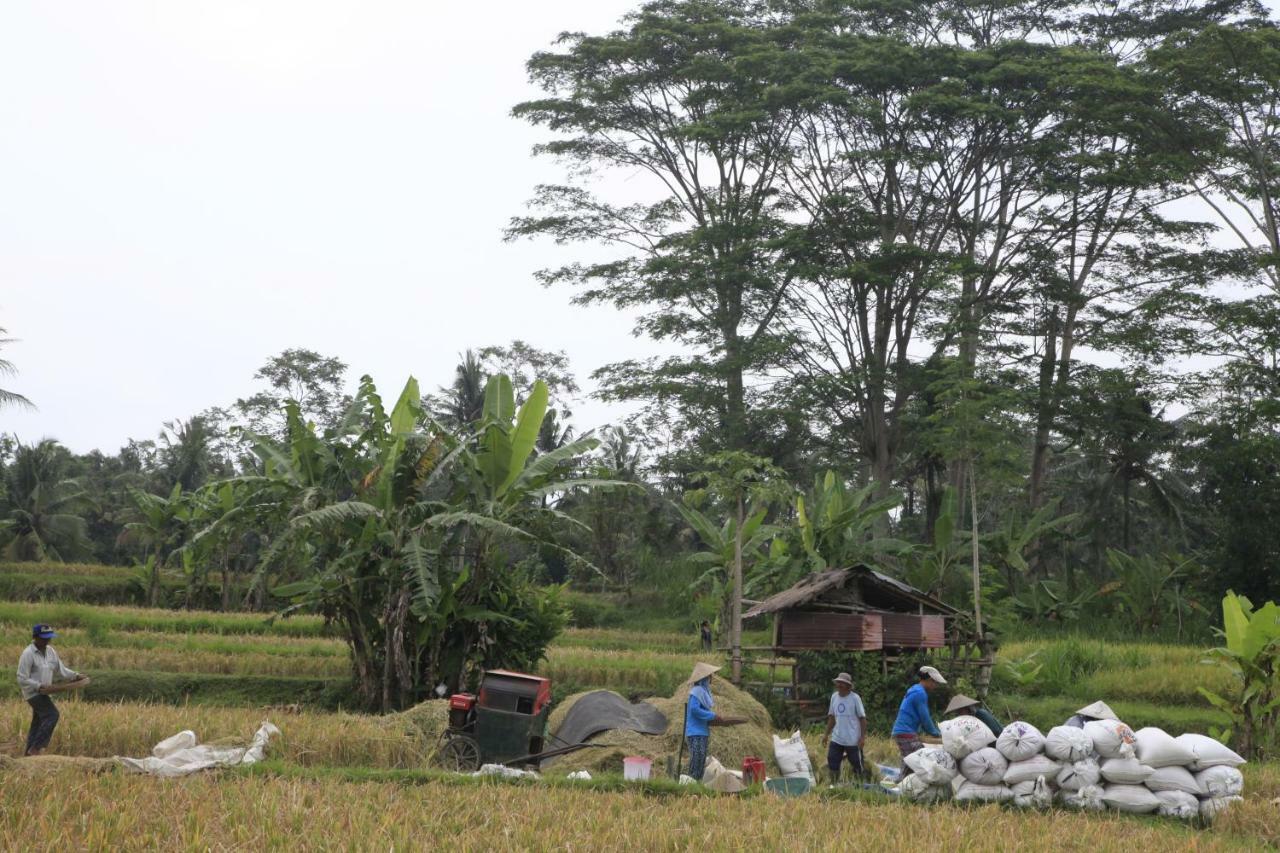 Pondok Gepokan Homestay Ubud Eksteriør bilde