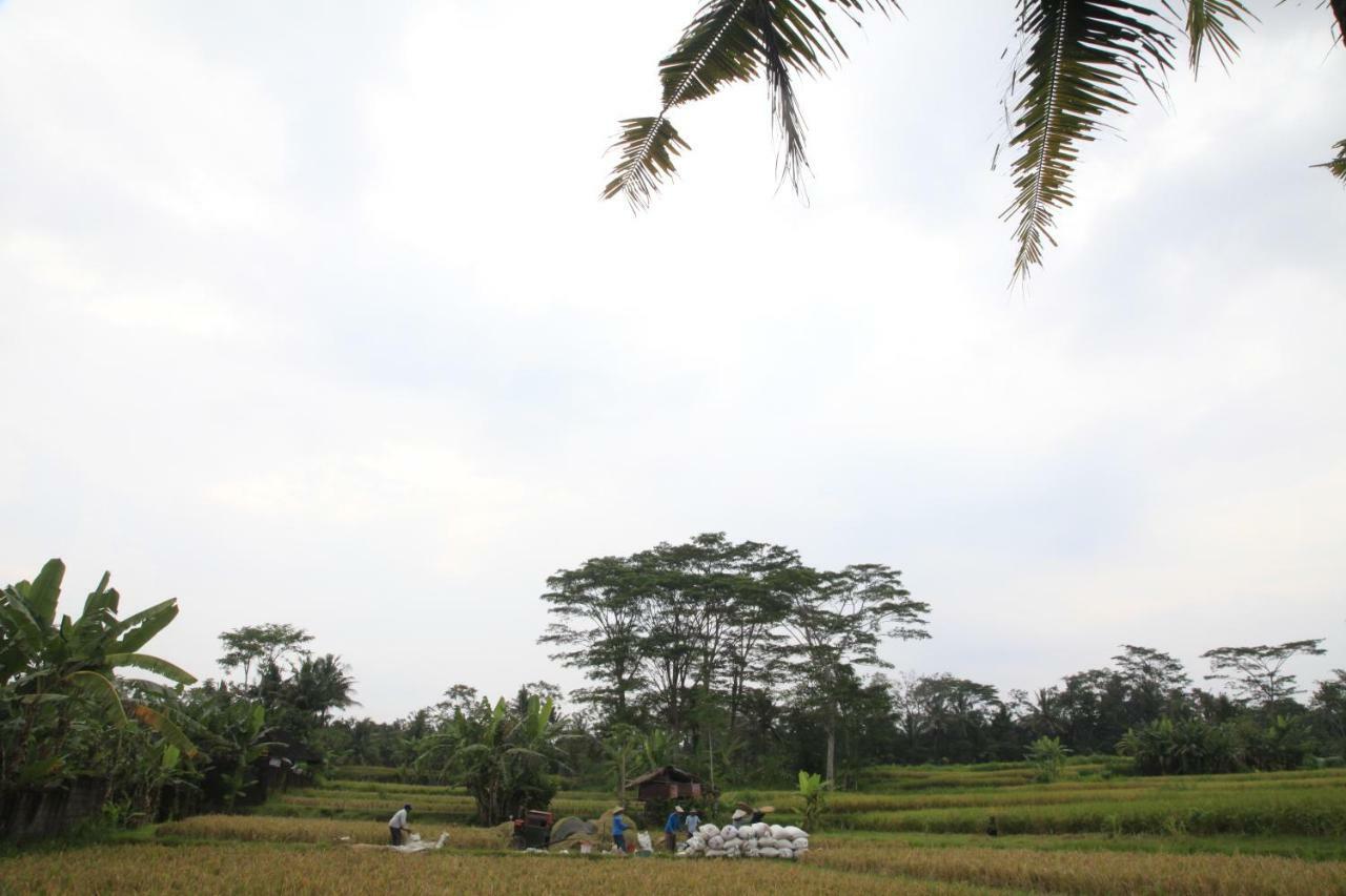 Pondok Gepokan Homestay Ubud Eksteriør bilde
